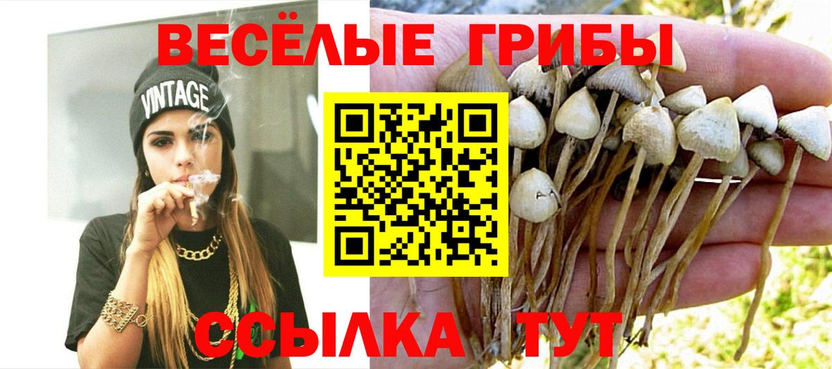 Псилоцибиновые грибы мицелий  Галлюциногенные грибы прущие грибы  Вход с VPN  Кашира 